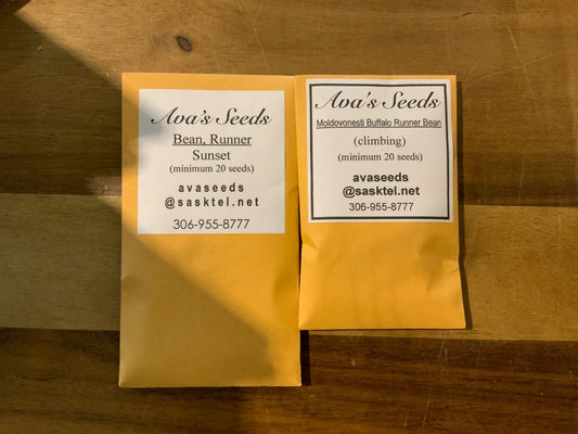 Ava’s Seeds - Beans (Runner)