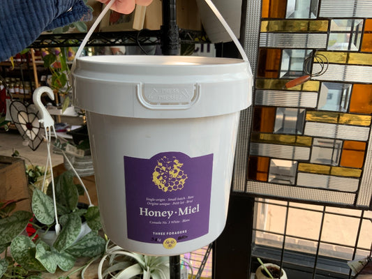 Three Foragers Bee Co. - 3kg Raw Creamed Honey