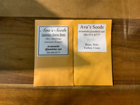 Ava’s Seeds - Beans (Pole)