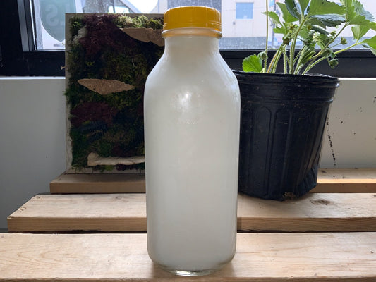 Sunnyside Dairy - 1L Buttermilk