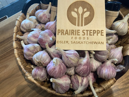Prairie Steppe - Garlic Bulb
