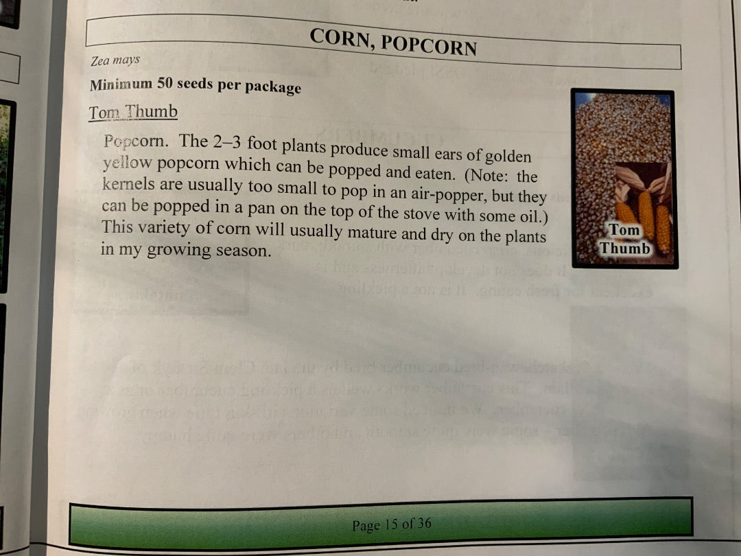 Ava’s Seeds - Corn