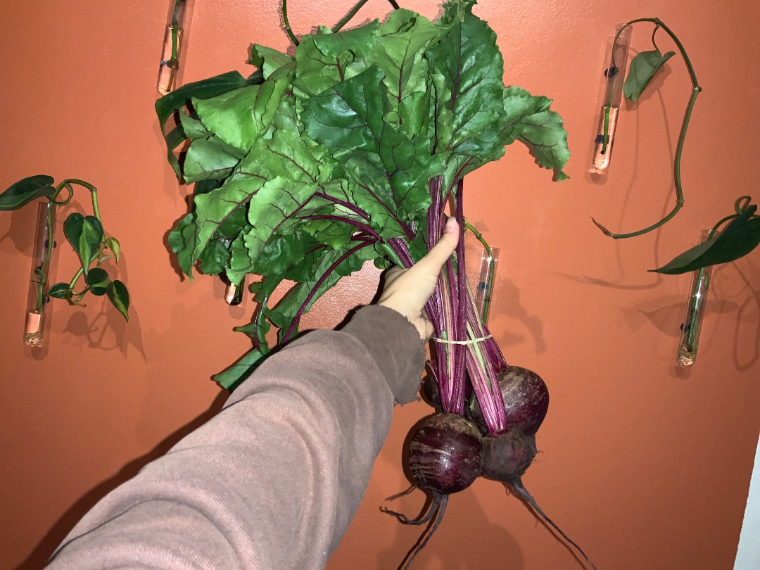 Chep - Beet Bunch