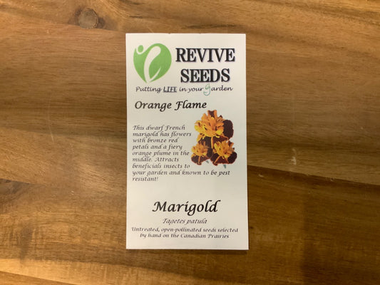 Revive Seeds - Marigolds - Orange Flame