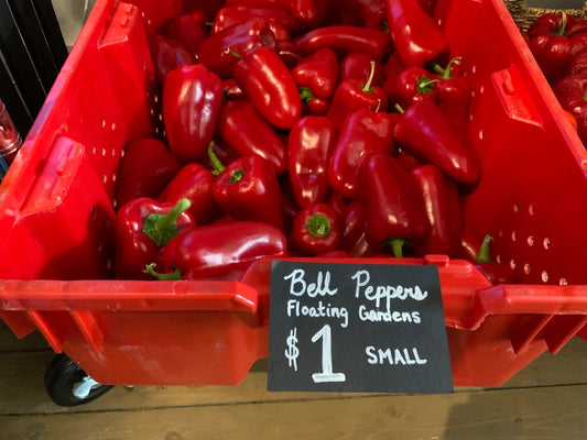 Floating Gardens - Small Bell Pepper