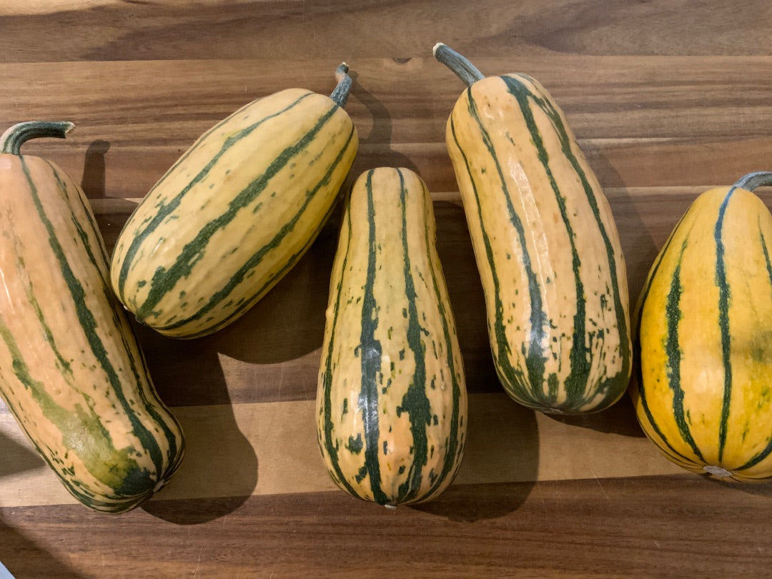 Chep - Delicata Squash - Honey Boat