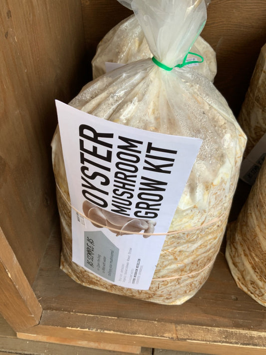 Brian’s Mushrooms - Grow Your Own Oyster Mushroom Kit