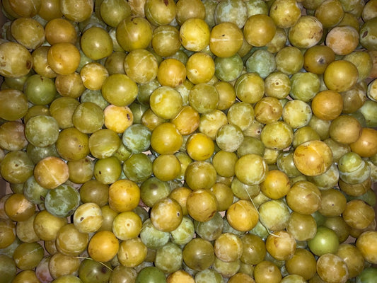 Stolz Farm - Early Gold Plums - Half Kilo