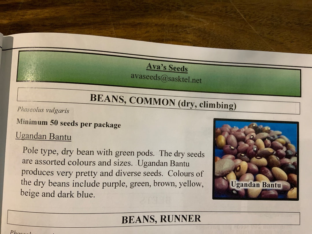 Ava’s Seeds - Beans (Pole)