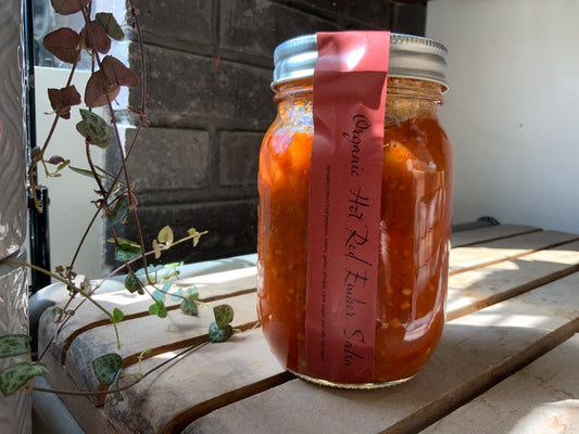Pique - Organic Hot Red Ember Salsa - 500ml