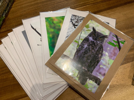 Tia Gagne Art - Single - Photography Greeting Card