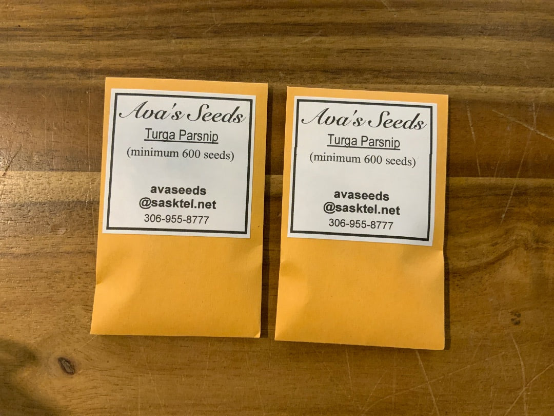 Ava’s Seeds - Turga Parsnip