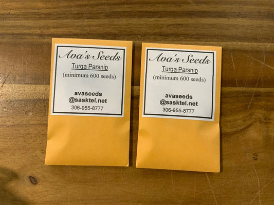 Ava’s Seeds - Turga Parsnip