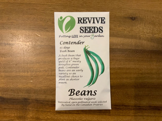 Revive Seeds - Beans - Contender