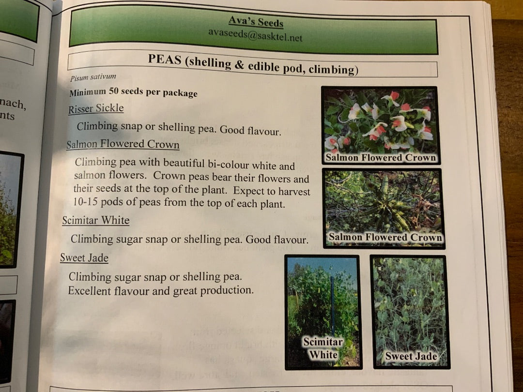 Ava’s Seeds - Peas (Edible Pod)