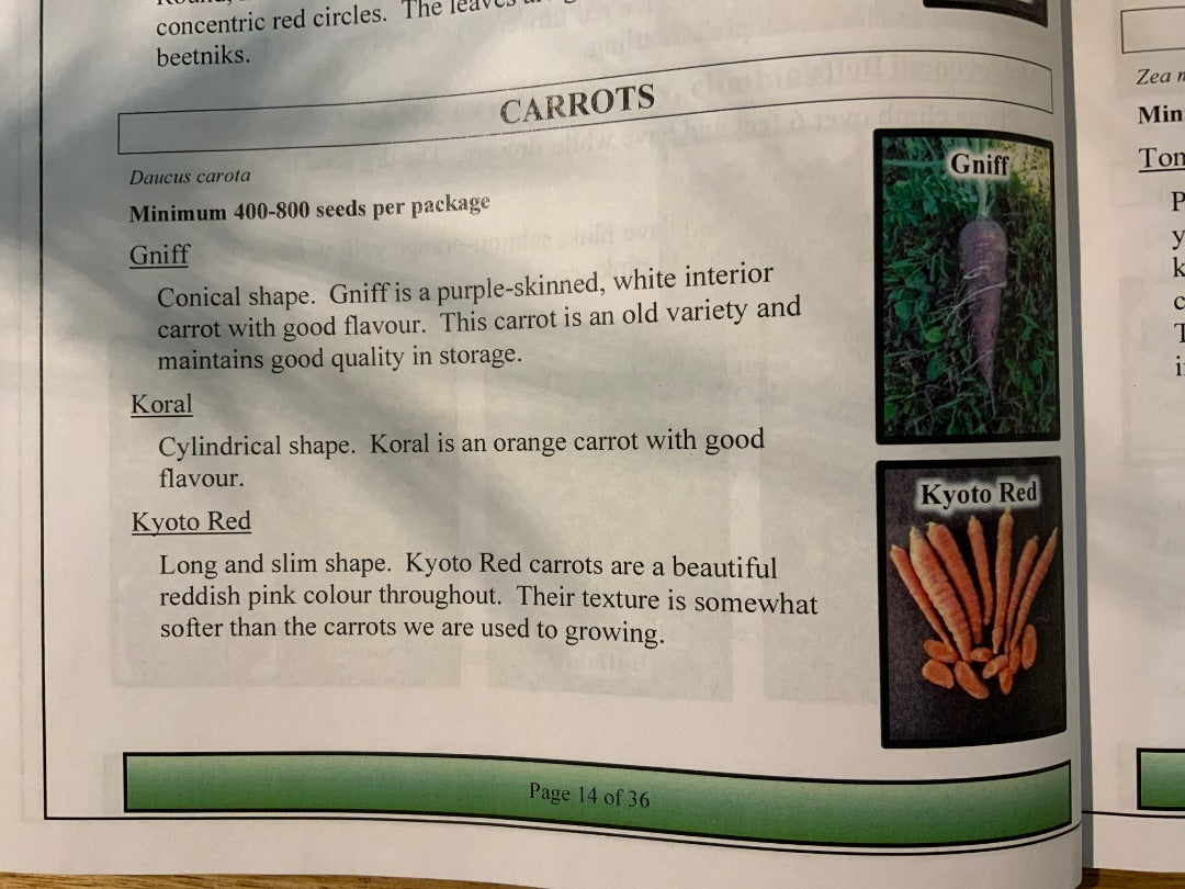 Ava’s Seeds -  Carrots