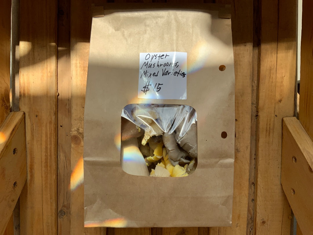 Brian's Mushrooms & More - Mixed Oyster Mushrooms