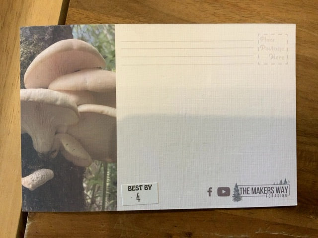 Brian's Mushrooms - Postcard 4
