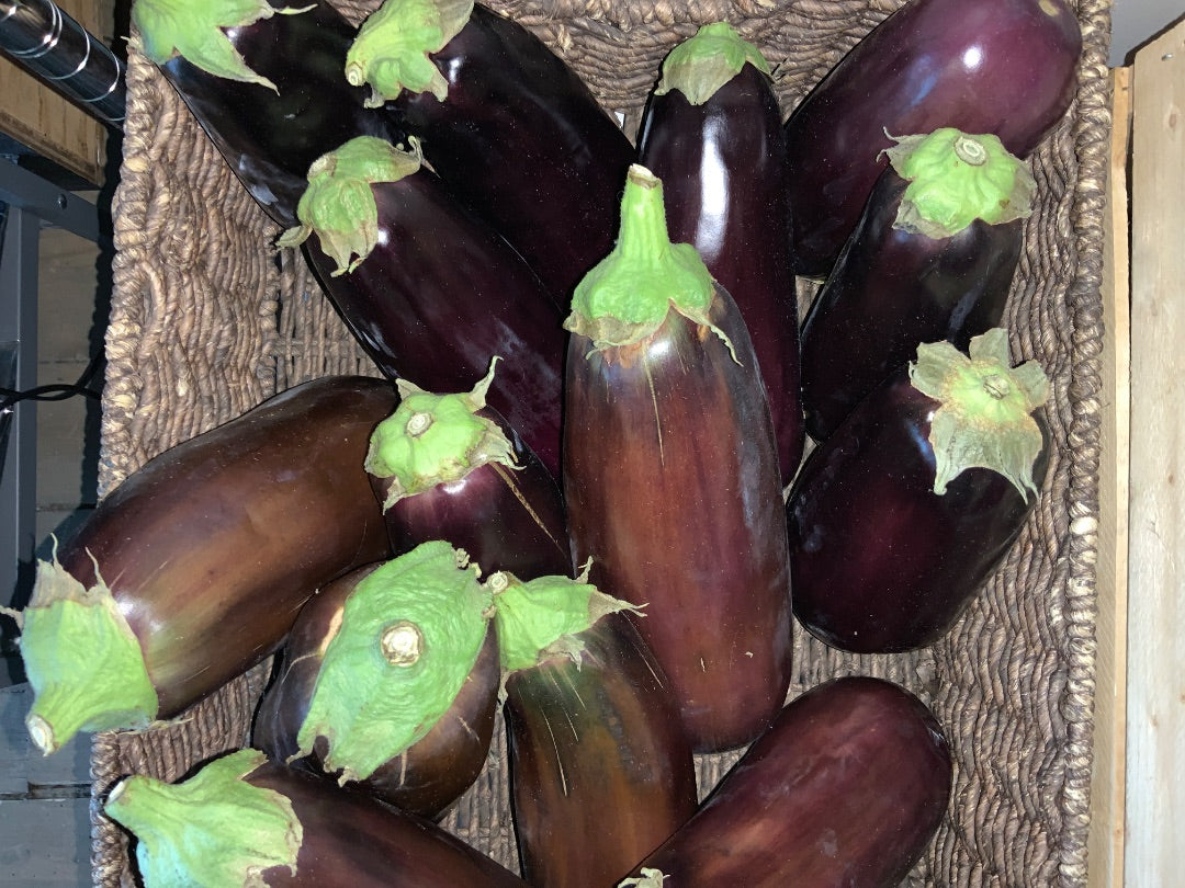 Floating Gardens - Eggplant Sale