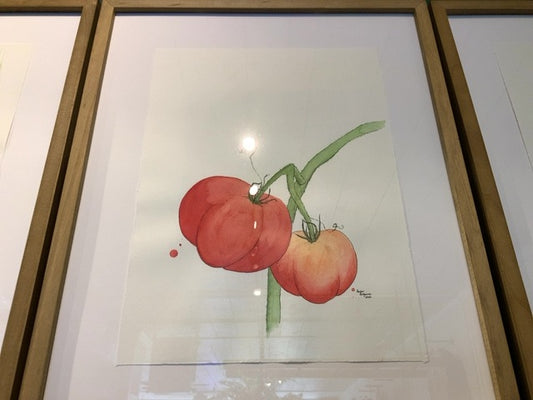 Amber Antymniuk - Tomato Watercolour Framed Painting