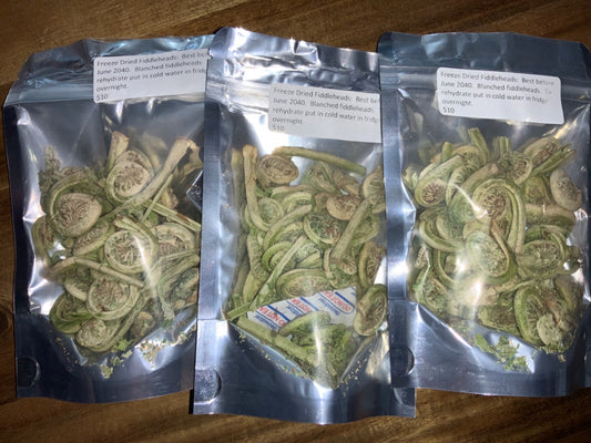 JJ's Vegan Cheese - Freeze Dried Fiddleheads