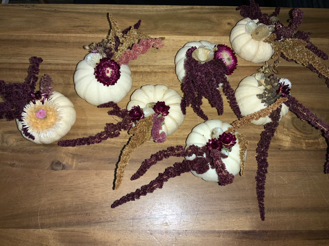 The Vine & Table - Decorative Mini Pumpkins