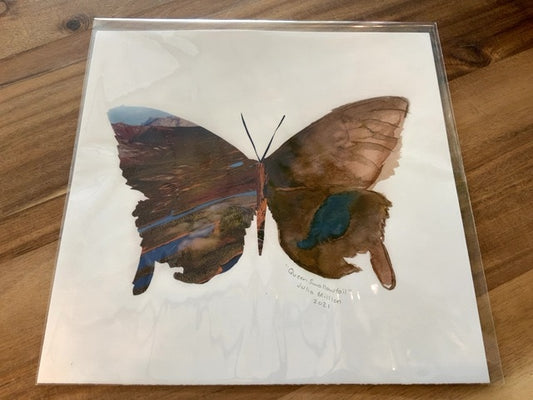 Art by Julia - Butterfly - Queen Swallowtail (Print)