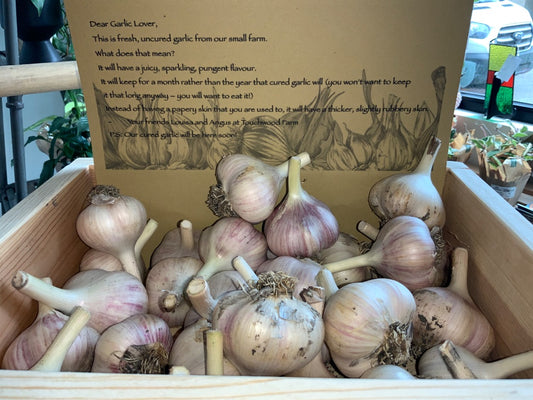 Touchwood Farms - Garlic - Music (Single)