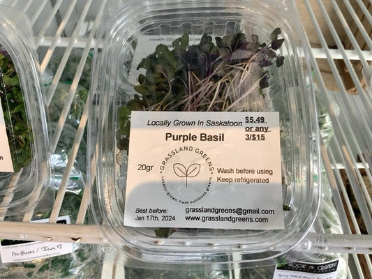Grassland Greens - Purple Basil (20g)