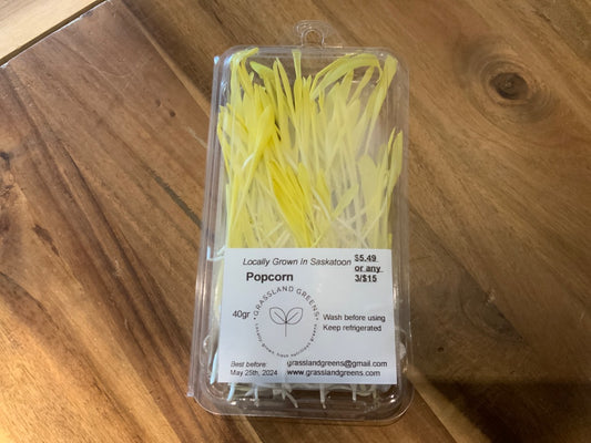 Grassland Greens - Popcorn Shoots