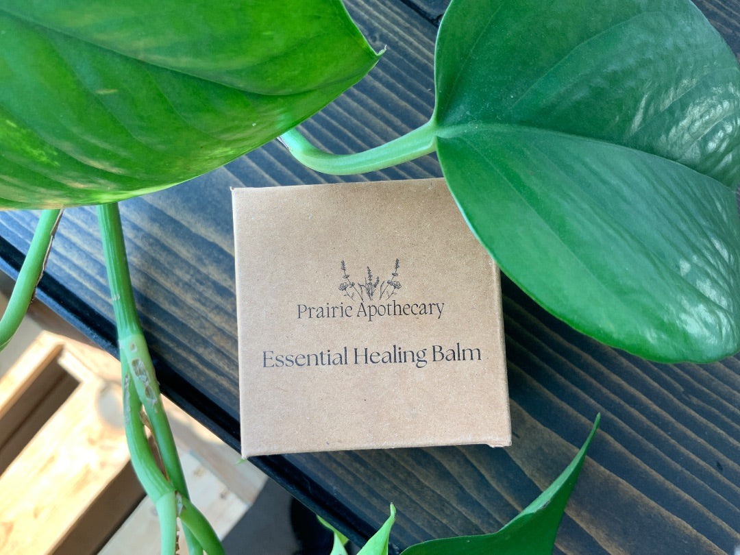 Prairie Apothecary - Essential Healing Balm