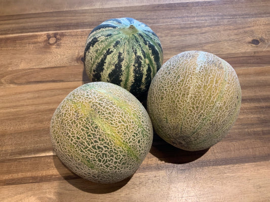 Lost River Timber - Small Melon ~1-1.5lb