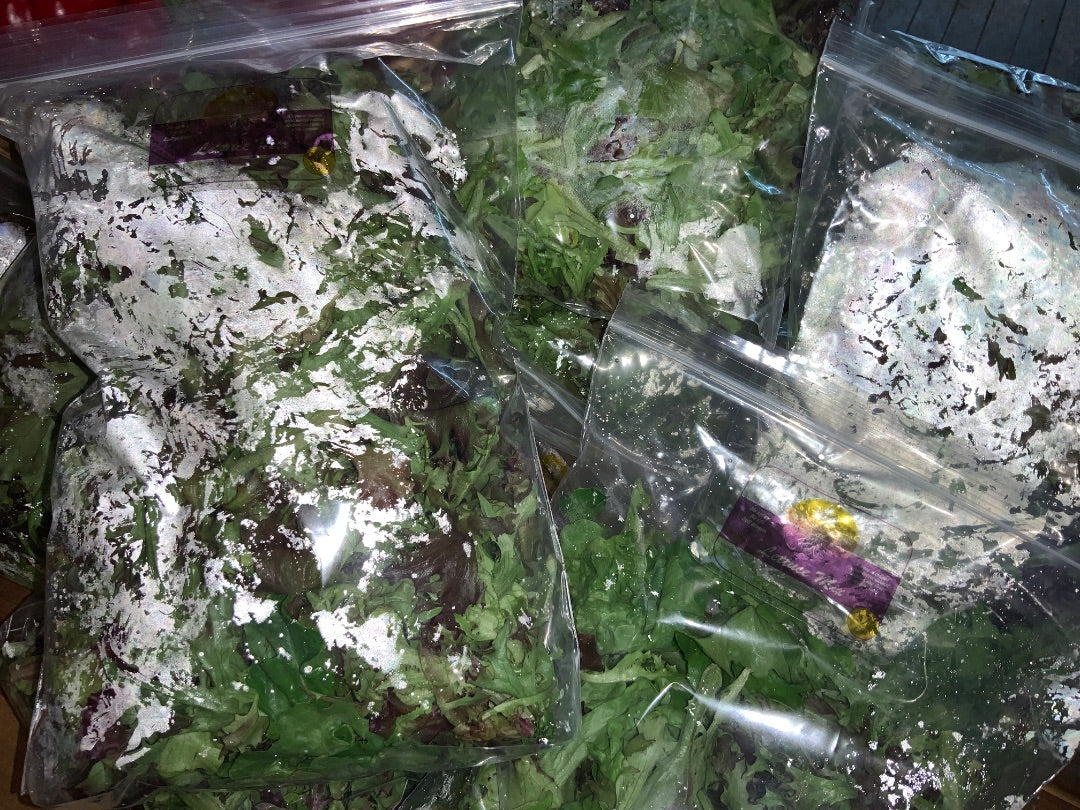Kinsmen Glory Farms - Lettuce Mix