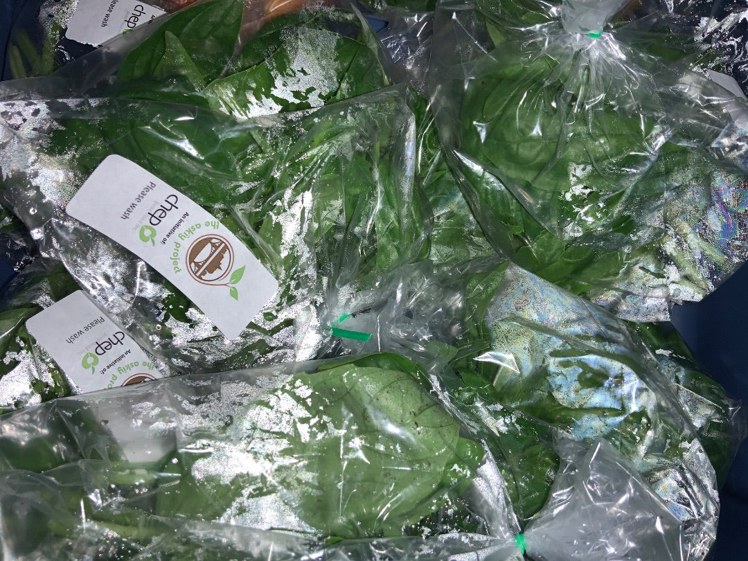 Chep - Basil
